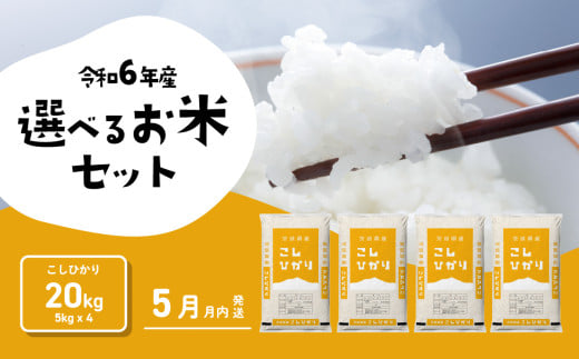 【5月発送】コシヒカリ 20kg (5kgx4袋) 令和6年産 茨城県産 こしひかり 白米 精米 茨城県 八千代町 お米 米 [SF150yai]