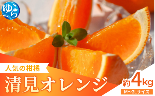 [来シーズン先行予約]家庭用 清見オレンジ 約4kg ※2026年3月上中旬〜順次発送 / 清見 みかん 晩柑 人気 柑橘 スマイルカット 蜜柑 フルーツ 果物 くだもの 食品 人気 おすすめ 送料無料 産地直送 和歌山県 由良町[kzmn013]