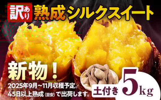 先行予約 訳あり シルクスイート 熟成 シルクスイート 5kg さつまいも 芋 サツマイモ 土付き サイズ色々 サイズ不揃い 九州産 焼き芋 やきいも 甘い デザート スイートポテト 生芋 おやつ デザート 1505683 - 福岡県田川市