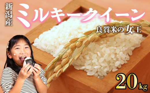 【先行予約】 令和7年産 ミルキークイーン 20kg ご飯 備蓄 コシヒカリ こしひかり 突然変異種 コメ お米 米 こめ しんまい 新潟産 新潟米 新潟県 新潟 新発田 新発田市 国産 新発田市産 斗伸 toushin017_02 1547351 - 新潟県新発田市