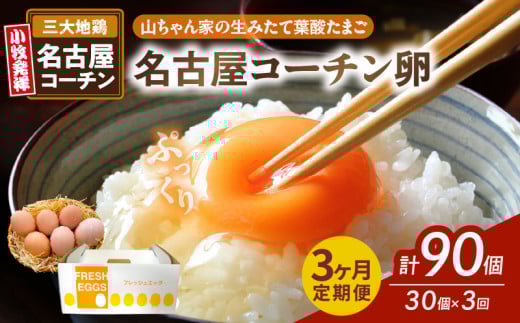 【3ヶ月定期便】【山ちゃん家の生みたて葉酸たまご】名古屋コーチン卵（30個入り）