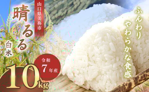 令和7年度産 新米晴るる 白米10kg 先行予約 ＜ 2025年9月中旬より順次発送予定 ＞｜ 米 精米 新米 白米 米 雑穀 お米 コメ 単一米 晴るる はるる  山口 美祢 秋吉台 10kg 2093258 - 山口県美祢市