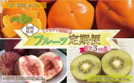 【全3回定期便】福岡県産フルーツ定期便 1396651 - 福岡県大川市