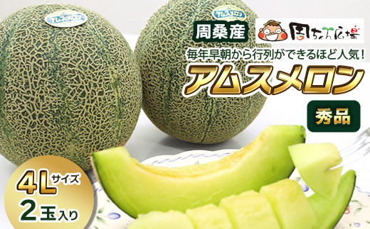 【先行予約】 周ちゃん広場より直送 周桑産アムスメロン(秀品) 4Lサイズ2玉入り 2025年6月発送 【オンライン決済限定】 888225 - 愛媛県西条市