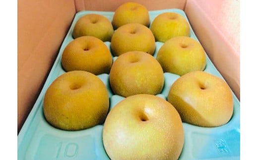 南信州産 訳あり 和梨 約5kg | 果物 フルーツ 果実 和梨 梨 幸水 豊水 南水 あきづき 訳あり わけあり 長野県 飯田市 信州 976928 - 長野県飯田市