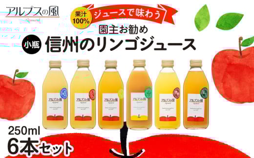 果汁100％ジュースで味わう 品種別 リンゴジュース 園主お任せ 小瓶 6本 セット 詰め合わせ 園主お勧め りんご 林檎 アップル アップルジュース にんじん ミックスジュース 無添加 飲料 飲料類 甘い 豊饒な香り 酸味爽やか 濃厚 長野 長野県[№5675-1199] 293314 - 長野県箕輪町