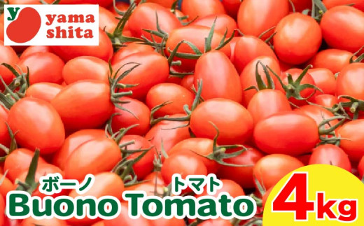 先行予約 ミニトマト アイコ 約4kg ボーノトマト 野菜 やさい トマト 完熟 高糖度 糖度 果物 スイーツ ジュース パスタ スパゲティー ソース ケチャップ サラダ ドレッシング 鍋 サンドイッチ ハンバーガー ピザ カレー ギフト 贈答 プレゼント お取り寄せ グルメ 送料無料 徳島県 阿波市 山下農園 1322641 - 徳島県阿波市