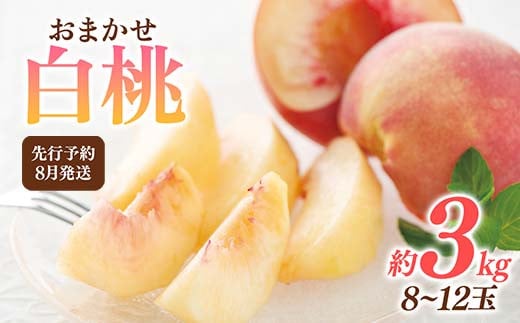 FYN6-115 ≪2025年先行予約≫8月発送 山形県産 品種おまかせ 白桃 約3kg（8～12玉） 秀品 2025年8月上旬から順次発送 桃 もも モモ 果物 くだもの 夏果実 フルーツ 産地直送 山形県 西川町 月山