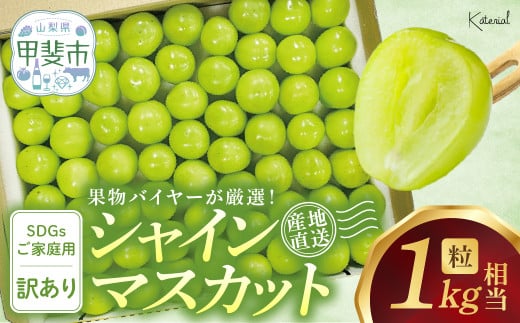 【2025年発送】 粒シャインマスカット 約1.0㎏ 山梨県産 国産 産地直送 人気 おすすめ 贈答 ギフト お取り寄せ フルーツ 果物 くだもの ぶどう ブドウ 葡萄 家庭用 わけあり ワケアリ 新鮮 甘い 皮ごと 甲斐市 AD-277
