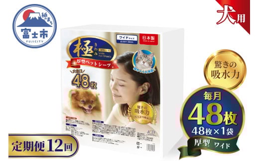 定期便 12回 ペットシーツ 【極】シリーズ 厚型ワイド 48枚 ペット用 犬用 猫用 トイレシーツ 日用品 ペット用品 防災 備蓄 消耗品 ドッグ キャット わんちゃん ねこちゃん 静岡県 富士市 [sf077-145]