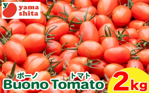 先行予約 ミニトマト アイコ 約2kg ボーノトマト 野菜 やさい トマト 完熟 高糖度 糖度 果物 スイーツ ジュース パスタ スパゲティー ソース ケチャップ サラダ ドレッシング 鍋 サンドイッチ ハンバーガー ピザ カレー ギフト 贈答 プレゼント お取り寄せ グルメ 送料無料 徳島県 阿波市 山下農園