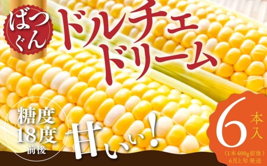ドルチェドリーム 6本入り【2025年6月
