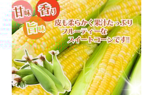 山梨県身延町のふるさと納税 【市川三郷町共通返礼品】ドルチェドリーム 6本入り【2025年6月上旬から発送】REGALO[№5530-0396]