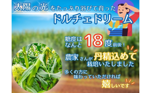 山梨県身延町のふるさと納税 【市川三郷町共通返礼品】ドルチェドリーム 6本入り【2025年6月上旬から発送】REGALO[№5530-0396]