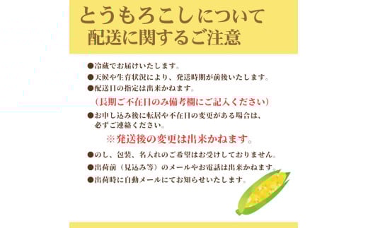 山梨県身延町のふるさと納税 【市川三郷町共通返礼品】ドルチェドリーム 6本入り【2025年6月上旬から発送】REGALO[№5530-0396]