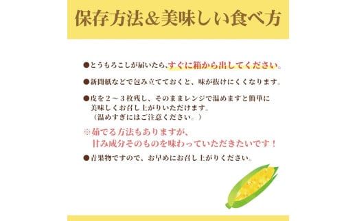 山梨県身延町のふるさと納税 【市川三郷町共通返礼品】ドルチェドリーム 6本入り【2025年6月上旬から発送】REGALO[№5530-0396]