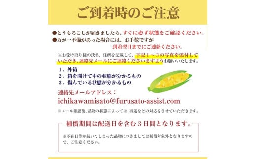 山梨県身延町のふるさと納税 【市川三郷町共通返礼品】ドルチェドリーム 6本入り【2025年6月上旬から発送】REGALO[№5530-0396]