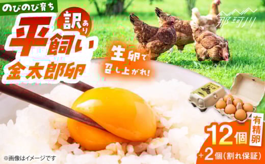 ＼訳あり／【TVで紹介！】【鮮度ＡＡ級の世界最高ランク！】金太郎卵 平飼い たまご 12個（6個×2パック）＜有限会社フジノ香花園＞那珂川市 訳アリ 理由あり わけあり 卵 たまご 平飼い 新鮮 平飼い卵 国産  生卵 平飼い卵 鶏卵 [GAM039] 1987881 - 福岡県那珂川市