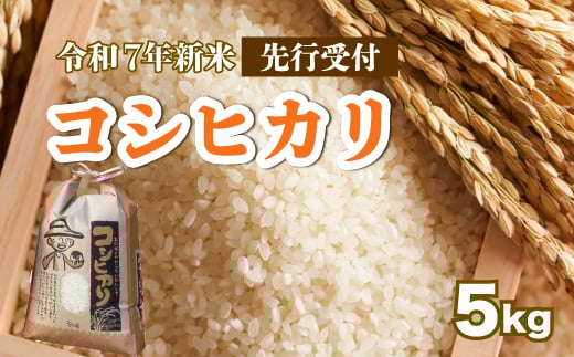 【先行受付】令和7年新米 コシヒカリ 白米5kg 2025年8月下旬～発送 お米 米 精米 ごはん ご飯 広島県 三原市 187004 1957100 - 広島県三原市