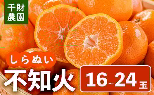 ＜先行予約受付中！2026年4月中旬より順次発送予定＞千財農園不知火(L～4L・16玉～24玉)みかん ミカン 蜜柑 しらぬい 柑橘 フルーツ 果物 くだもの 果実【109000301】【千財農園】 640662 - 大分県宇佐市