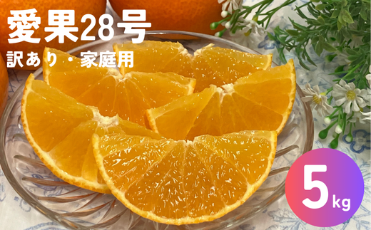 愛果28号 5kg ご家庭用 訳あり レッスルファーム みかん 愛媛【2025年12月中旬順次発送】先行予約 数量限定 おすすめ 美味しい おいしい グルメ フルーツ くだもの 愛媛県産 人気 柑橘 伊予市｜B251