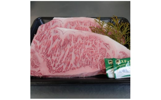国産黒毛和牛サーロインステーキ 500g【1607975】