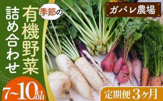 No.527 【有機野菜の定期便3ヶ月】ガバレ農場の季節の有機野菜詰め合わせセット ／ 有機JAS認定農場 採れたて 新鮮 詰合せ 埼玉県 1992603 - 埼玉県鴻巣市