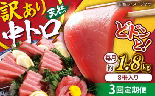 【全3回定期便】【訳あり】天然 まぐろ 中トロ メバチ 計約1.8kg (8柵入り) マグロ 定期 鮪 まぐろ 中とろ 刺身  定期便 マグロ定期【横須賀商工会議所 おもてなしギフト事務局（本まぐろ直売所 横須賀本店）】 [AKAK053]