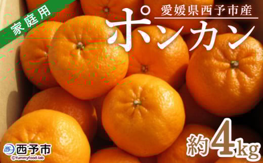 [愛媛県西予市産 ポンカン 約4kg 家庭用] 果物 くだもの ミカン 柑橘 ぽんかん フルーツ 旬 おいしい サイズ不揃い キズあり 特産品 段畑みかん 愛媛県 西予市[常温]『2026年1月中旬〜2月上旬迄に順次出荷予定』