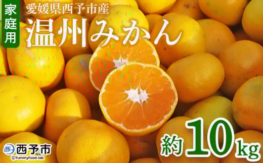 ＜愛媛県西予市産 温州みかん 家庭用 約10kg＞ 果物 くだもの ミカン 蜜柑 柑橘 フルーツ 訳あり ワケアリ 食べて応援 特産品 段畑みかん 愛媛県 西予市【常温】『2025年10月中旬～11月中旬迄に順次出荷予定』 350289 - 愛媛県西予市