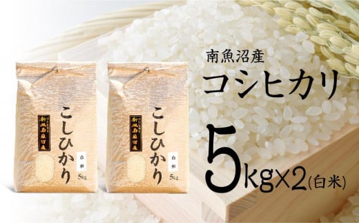 【令和7年産 新米予約】南魚沼産コシヒカリ(白米)【5kg×2】【令和7年10月中旬以降発送】【米 お米 こしひかり 南魚沼 米 白米 こめ 新潟 米】 442181 - 新潟県南魚沼市