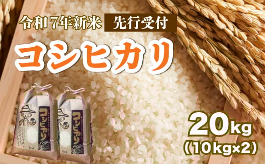 【先行受付】令和7年新米 コシヒカリ 白米20kg（10kg×2袋）2025年8月下旬～発送 お米 米 精米 ごはん ご飯 広島県 三原市 187006 1957102 - 広島県三原市