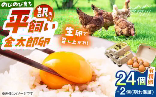＼訳あり／【TVで紹介！】【鮮度ＡＡ級の世界最高ランク！】金太郎卵 平飼い たまご 24個（6個×4パック）＜有限会社フジノ香花園＞那珂川市 訳アリ 理由あり わけあり 卵 たまご 平飼い 新鮮 平飼い卵 国産 玉子 鶏卵 [GAM041] 1987883 - 福岡県那珂川市