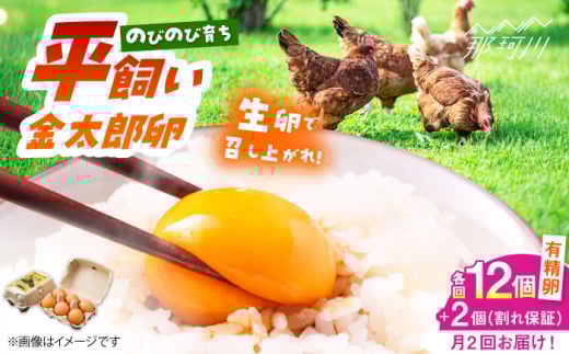 ＼月2回発送／【TVで紹介！】【鮮度ＡＡ級の世界最高ランク！】金太郎卵 平飼い たまご 計24個(12個×月2回)＜有限会社フジノ香花園＞那珂川市 卵 たまご 平飼い 新鮮 平飼い卵 国産 玉子 鶏卵 [GAM036] 1987878 - 福岡県那珂川市