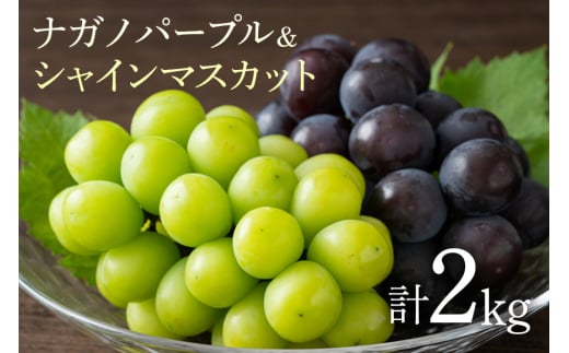 ナガノパープルとシャインマスカットの詰め合わせ2kg