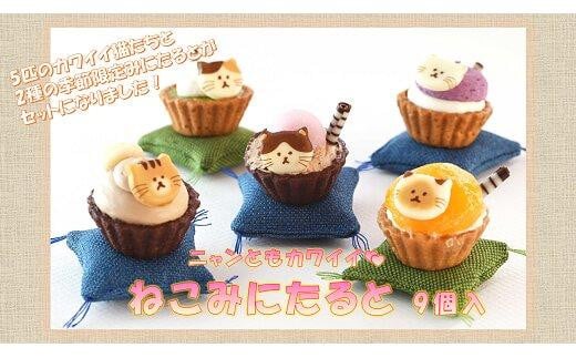 ねこみにタルト 9個入(秋・冬バージョン)