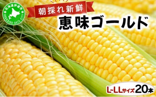 [5525-0829]先行予約 【 2025年 発送 】北海道 朝もぎ とうもろこし 恵味 ゴールド L-LLサイズ 20本 スイート コーン トウモロコシ とうきび 旬 完熟 野菜 採れたて 朝採り 甘い めぐみ 産地直送 道産 送料無料
