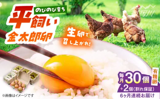 【全6回定期便】【TVで紹介！】鮮度ＡＡ級の世界最高ランク！金太郎卵 平飼い 卵 30個（6個×5パック）＜有限会社 フジノ香花園＞那珂川市 卵 金太郎卵 有精卵 平飼い 卵 平飼い卵 たまご [GAM018] 277539 - 福岡県那珂川市