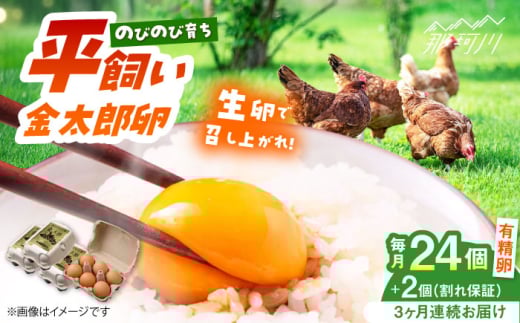 【3回定期便】【TVで紹介！】【鮮度ＡＡ級の世界最高ランク！】金太郎卵 平飼い たまご 24個（6個×4パック）＜有限会社フジノ香花園＞那珂川市 卵 定期便 たまご 平飼い 新鮮 平飼い卵 国産 玉子 鶏卵 [GAM033] 1987875 - 福岡県那珂川市