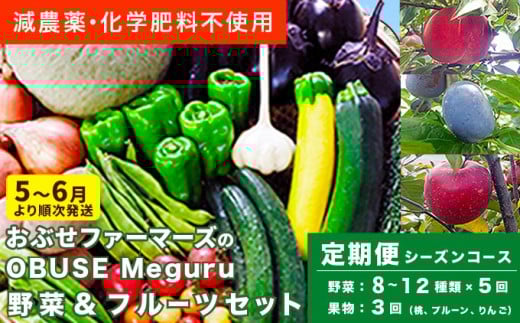 ［年8回定期便］ 農薬・化学肥料を使わずに栽培した野菜と減農薬栽培した果物 年8回定期便 OBUSE Meguru  野菜&フルーツセット シーズンコース［おぶせファーマーズ］おまかせ 野菜 やさい 詰め合わせ 8～12種類 果物 フルーツ 3種類 長野 信州 数量限定 産地直送 令和7年産 【2025年5～6月より順次発送予定】 [FY-4]