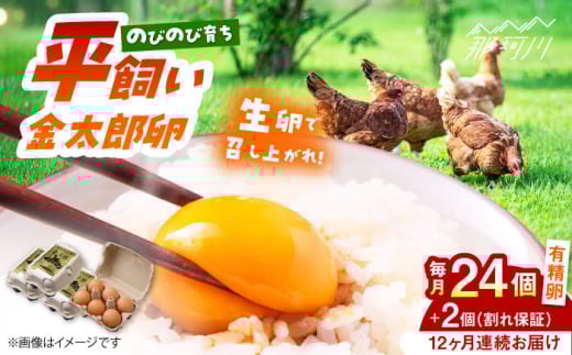 【12回定期便】【TVで紹介！】【鮮度ＡＡ級の世界最高ランク！】金太郎卵 平飼い たまご 24個（6個×4パック）＜有限会社フジノ香花園＞那珂川市 卵 定期便 たまご 平飼い 新鮮 平飼い卵 国産 玉子 鶏卵 [GAM035] 1987877 - 福岡県那珂川市