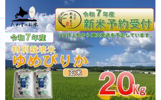 【令和7年産】 ゆめぴりか （玄米）特Aランク 北海道 米 を代表する人気の品種 10kg×2袋 20kg 【2025年10月上旬発送開始】 北海道 鷹栖町 たかすのお米 米 1360308 - 北海道鷹栖町