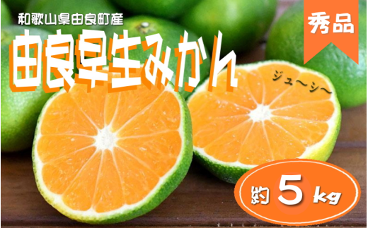 ≪秀品≫和歌山由良町産 由良早生みかん 約５kg サイズおまかせ(Ｌ～２Ｓ) いずれかお届け【sml106C】