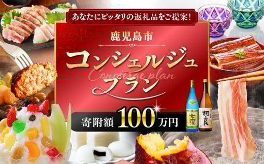 コンシェルジュプラン 寄付額100万円コース　K000-CP100 1020294 - 鹿児島県鹿児島市
