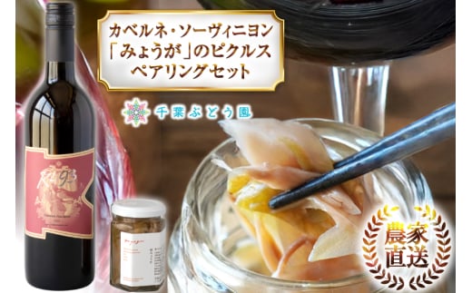 赤ワイン セット カベルネ・ソーヴィニヨン 「みょうが」のピクルス セット [千葉ぶどう園 山梨県 韮崎市 20744981] 赤 ワイン 山梨 ワインセット 詰め合わせ ソーヴィニヨン みょうが ピクルス ペアリング ツクルジョ