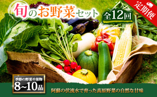 【定期便 全12回】＜畑から直送＞季節のお野菜セット Lサイズ8～10品をお届け♪ 12回 定期便 野菜 新鮮 野菜セット 定期便 農家直送 産地直送 野菜 厳選 こだわり 朝採れ 採れたて フレッシュ サラダ 高原野菜 フルーツ 甘い 野菜 詰め合わせ おまかせ 大地の恵み 贈り物 ギフト 便利 食卓 野菜 家族 主婦 料理 お弁当 人気 おすすめ お取り寄せ 野菜 熊本県 阿蘇市