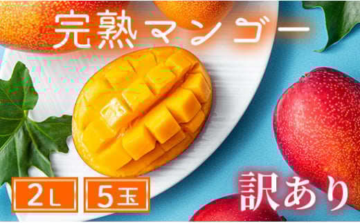 【訳あり】完熟マンゴー 2L×5玉（パック）【濃厚 高級 宮崎 果物 フルーツ 贈答 ギフト 甘い 先行受付 送料無料】
