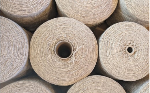 【ご予約】日本産 羊の糸 約100g×2かせ ※2025年10月頃から順次配送 / 毛糸 手芸 編み物 羊 ひつじ 糸 和歌山 本宮 【tsg002】 2135014 - 和歌山県田辺市
