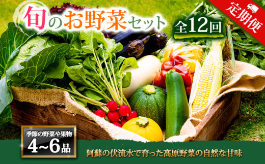 【定期便 全12回】＜畑から直送＞季節のお野菜セットをお届け！ 旬のお野菜の中から4～6品を計12回お届け♪  野菜 新鮮 野菜セット 定期便 農家直送 産地直送 野菜 厳選 こだわり 朝採れ 採れたて フレッシュ サラダ 高原野菜 フルーツ 甘い 野菜 詰め合わせ おまかせ 大地の恵み 贈り物 ギフト 便利 食卓 野菜 家族 主婦 料理 お弁当 人気 おすすめ お取り寄せ 野菜 熊本県 阿蘇市