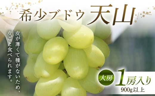 希少ブドウ 天山 大房 1房入り 900g以上 F2Y-6175